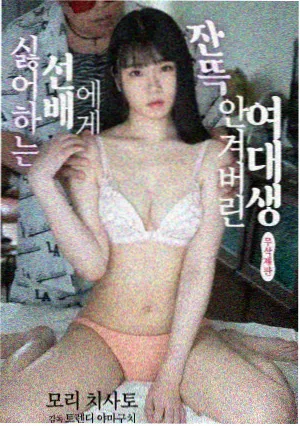 归途列车剧集封面